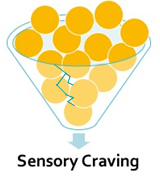 A large funnel with a hairline crack overflowing with yellow orbs and a downward arrow pointing at text Sensory Craving at the bottom.