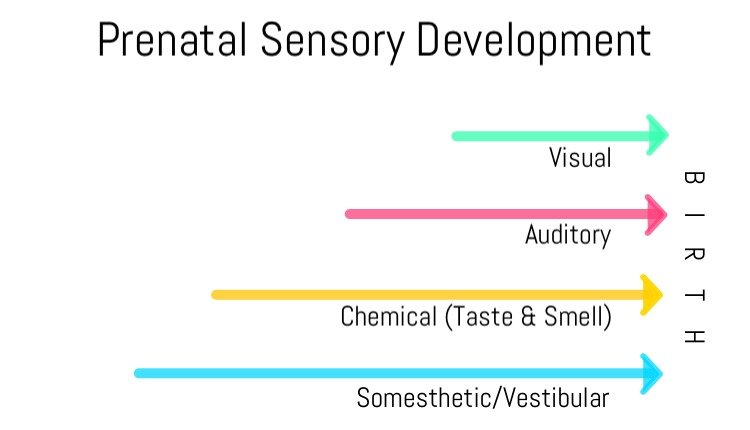 The Importance of Sensation