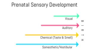 The Importance of Sensation