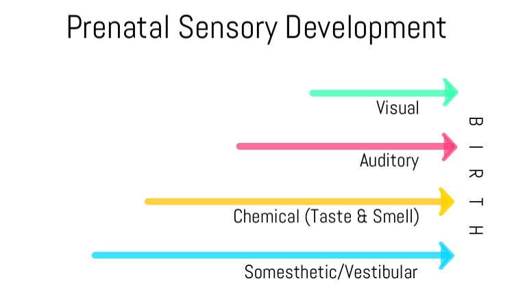 The Importance of Sensation