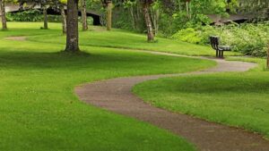 What is Sensory Processing?