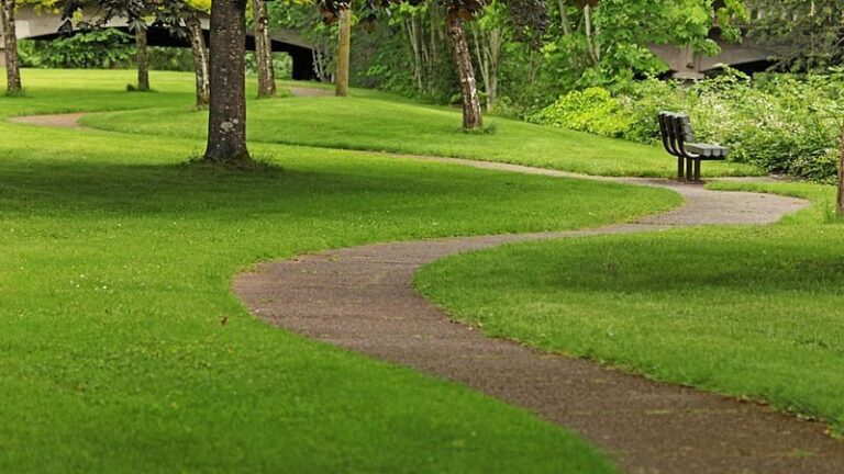 What is Sensory Processing?