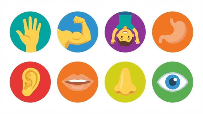 The Eight Sensory Systems